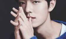 娱乐圈爆料肖战邓伦,真相与谣言的交织