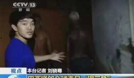 巴西小哥爆料至臻视频大全,至臻视频大全背后的精彩故事